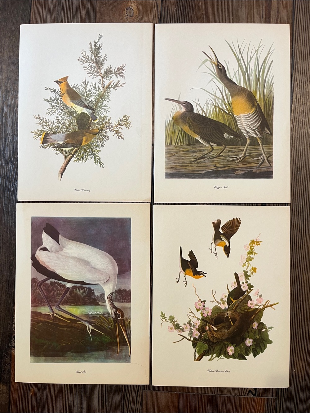 Audubon Birds Of America Prints (L6)